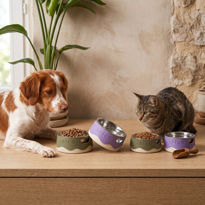 Bol pour animaux personnalisé