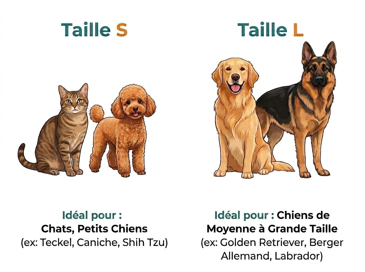Bol pour animaux personnalisé