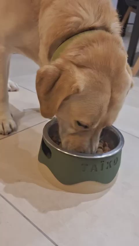 Bol pour animaux personnalisé